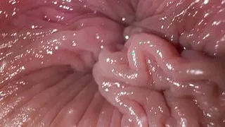 Close up ass fingering and dirty talk, anal masturbation orgasm