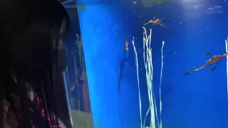 0001236_日本人女性がセックスmgs販促19分動画