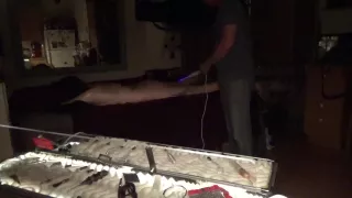 Violet Wand Used On Me In A Delightfully Painful Way