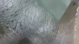 The bitch shows her cunt on camera.