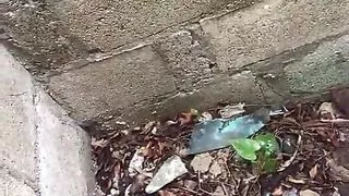 You have to break, hit it hard, let that vagina hurt