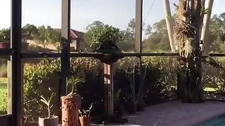 Masturbation On The Patio and Talking