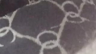 big thick comobian porn filled with lots of milk