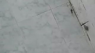 Shower Pee In Slow Motion