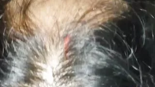 Indian Top class Girl missionary style sex & hard-core blowjob, Desi amazing missionary style Chudai & Land Chusai, Deshiangel