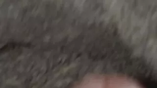 masturbating with my big cock full of milk