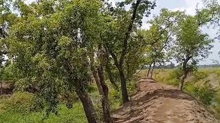 In the field of the village, the girl was strapped to the car.