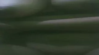 Solo Girl Masterbution New Porn videos