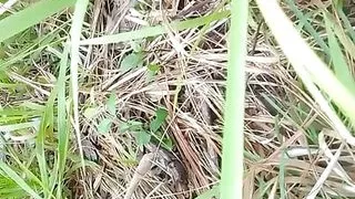 Piss tribute to Anjali Arora in Jungle