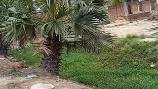 mohani ko pela behind the village