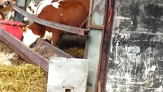 Inside a GERMAN Perversion!!!! - (episode #05)