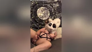 Saoirsemutt Playing With Her Toy (commission)