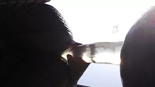 Difficult to tame dildo bottom view 1