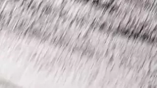 colombian porno a big thick penis full of milk