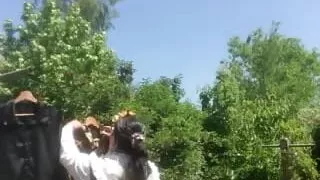 In planter with a purple dress hanging laundry