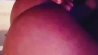 Kolla magen hoda sepal gatta