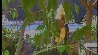 Horny cutie likes it when her wet pussy is finger fucked