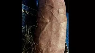 Close Up Hard Veiny Cock Shaft