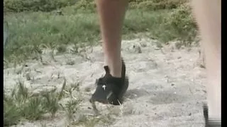 Erotic Bitches!!! - Experience #04