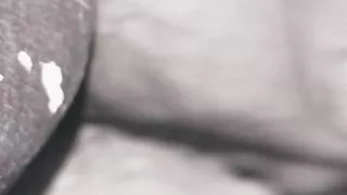 arab and african colombian porn big dick creampie