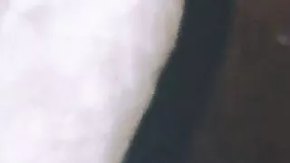 arab and african colombian porn big dick creampie