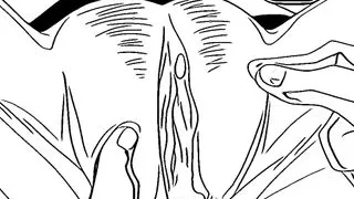 Hentai Comic Uncensored English Sub  j7