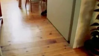 Small titted German blonde pleasing a hard cock with her mouth and amazing pussy