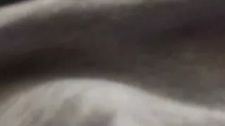 Ebony taking dick on the phone getting piped down !