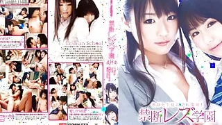 DVDES-457: Forbidden Love - Teacher & Student - Tsubomi, Mamiru Momone - EroJapanese.com