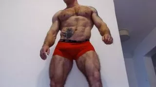 The powerful hairy bodybuilder does a striptease, poses, dances and shows a hairy hole in the ass, vol. 2