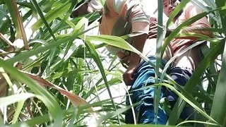 Indian Boy Coming Desi Marriage Sugarcane Field Forest Outdoors Gay Movie In Hindi Part -2