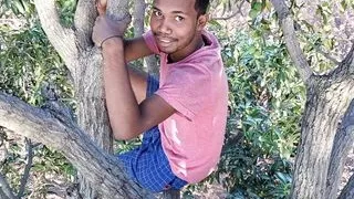 Agriculture Forest Mango tree Gay Romantic video in Hindi language