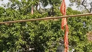 Stepsister at 4:00 am