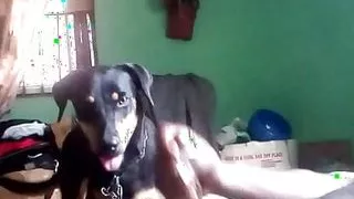 Big dick guy strokes his dick.