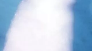 colombian porn videos big dick full of milk