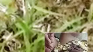 cheating wife by making video calls