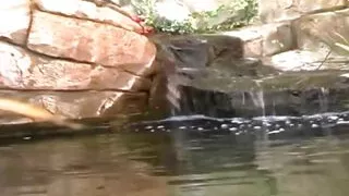 Brooke Banner is a naturally blonde with a slender body who loves nothing more than taking a big fatty deep in her pussy