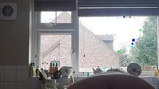 White sussies and bum in the kitchen today!