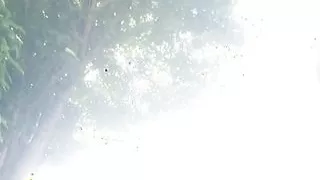 Pissing in the garden