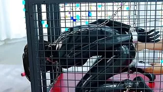 Fejira com A latex-clad slave in a cage like a dog