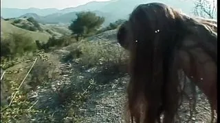 Young brunette gets fucked and creamed in the forest