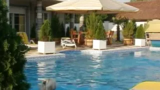 Pleasure and beautiful sluts