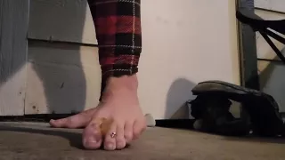 Giantess Vs The World