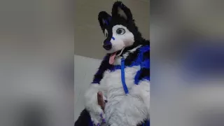Johnny Huskey - Paw Off And Cum :3