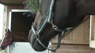 Kirsten Halborg is one of the hottest Bbw models out there to date.  Bbw Blonde With Big Tits And A Phat Pussy