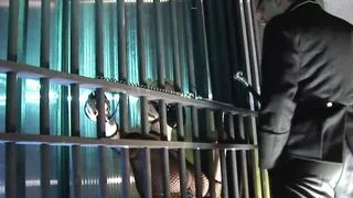 Carly parker is a hot blonde with big tits in fishnet who loves to be directed. Carly parker let out of cage to suck cock