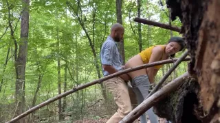 A Nice Walk In The Park On A Beautiful Day