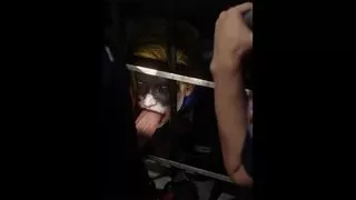 GCPD After Dark ( Gotham Knights )