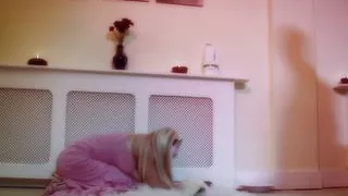 Cindy Behr is a cute little pink pussy with a need for milk