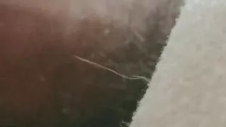 Young Colombian porn in my room I masturbate